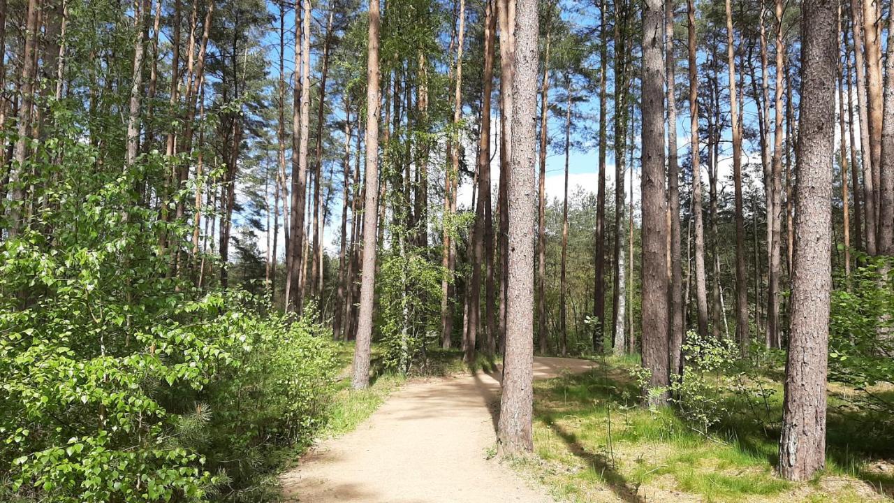 Forest Rooms 巴德贝芬森 外观 照片